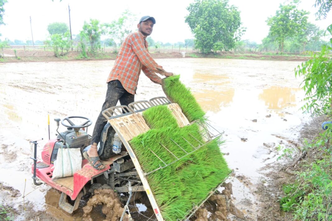 Farmers