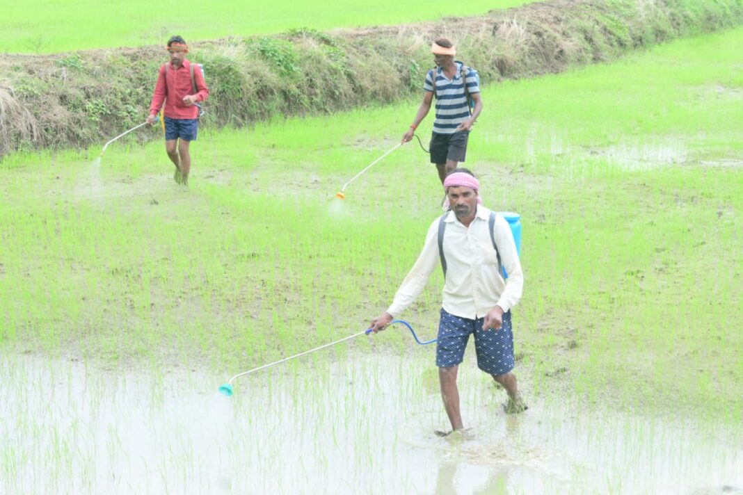 Fertilizers