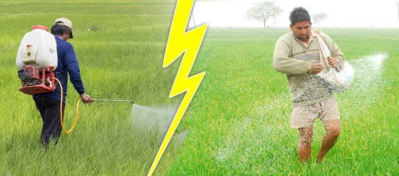 Urea
