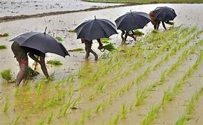 Rains