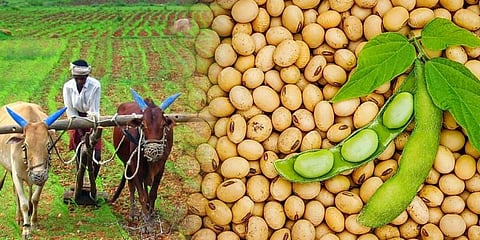 PM-AASHA Scheme Opens New Pathways for Farmers as MSP Procurement of Pulses & Oilseeds Begins
