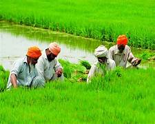 19,153 Farmers Registered on AgriStack Portal in Chhuria Tehsil