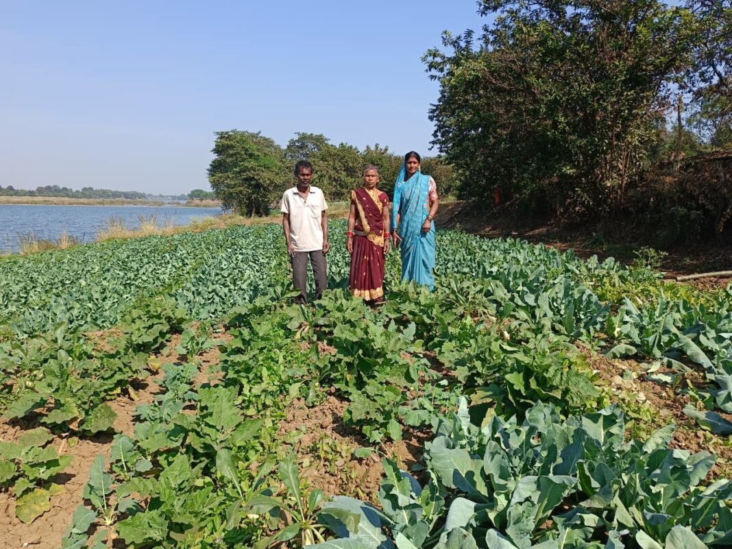 Farmers in Rajnandgaon Shift Towards Organic Farming as Natural Agriculture Gains Momentum