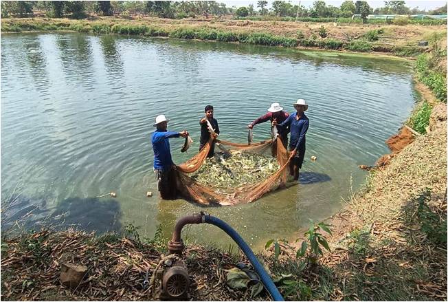 Barbarika Truth News India-image= January 8, 2026