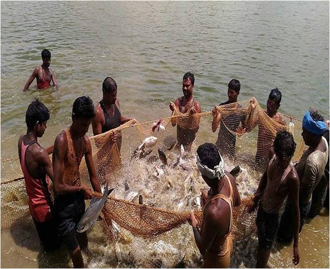 Matsya Sampada Yojana