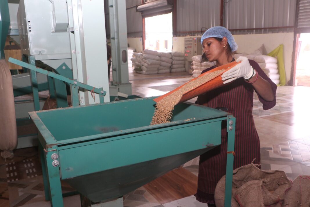 Nutrition Production