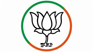 BJP OBC Morcha Announces Mandal Leadership Team in Rajnandgaon District