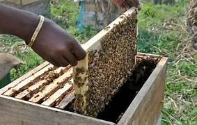 Barbarika Truth News India-image= March 25, 2026