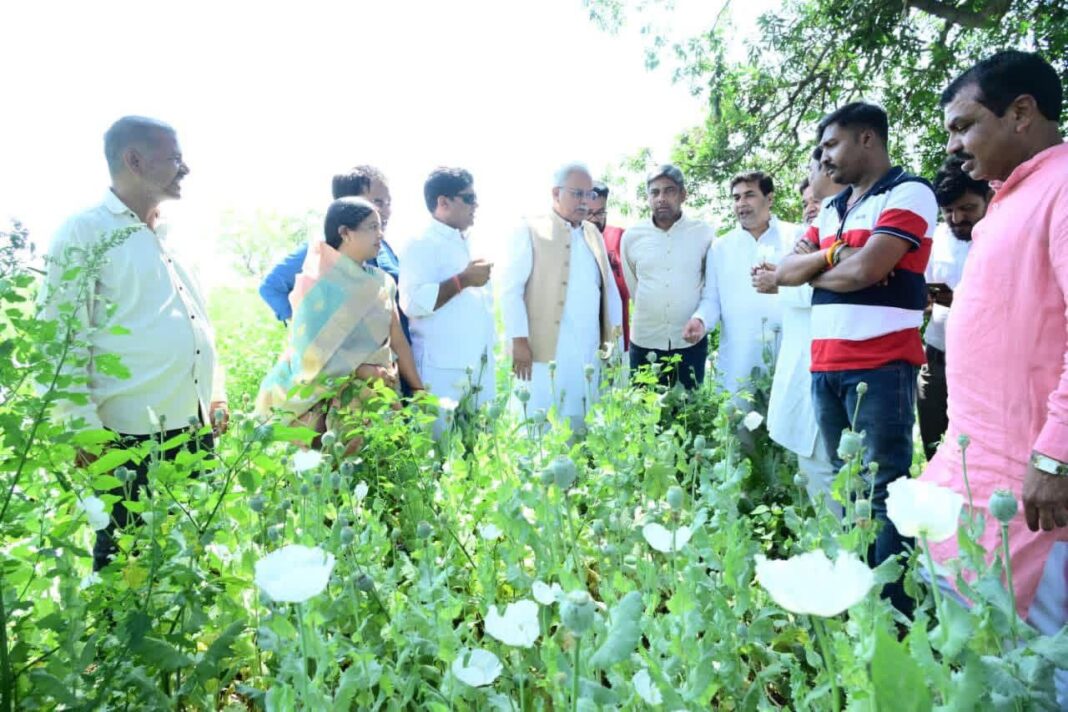 काला सोना