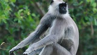 Barbarika Truth News India-image= April 17, 2026