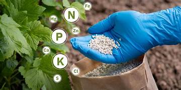 Adequate Fertilizer Stock Available in District; Farmers Advised to Use Nutrients as per Soil Health
