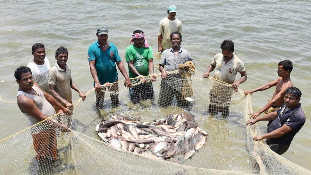 Fish Farming
