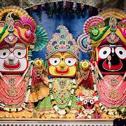 Jagannath Temple Sevayats Uphold Anasara Tradition by Receiving Sacred Herbal Decoction from Baba Ramdev Temple