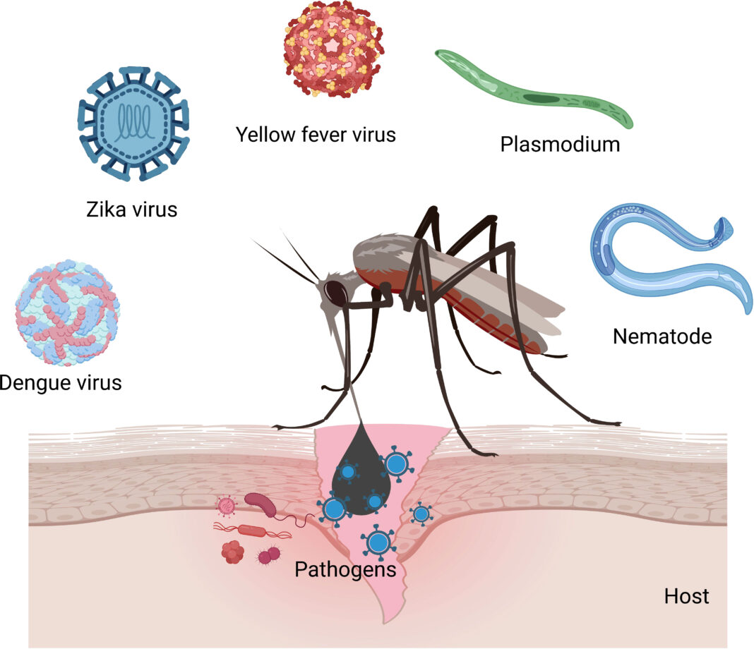 Health Department Issues Monsoon Advisory to Prevent Dengue and Malaria in Rajnandgaon