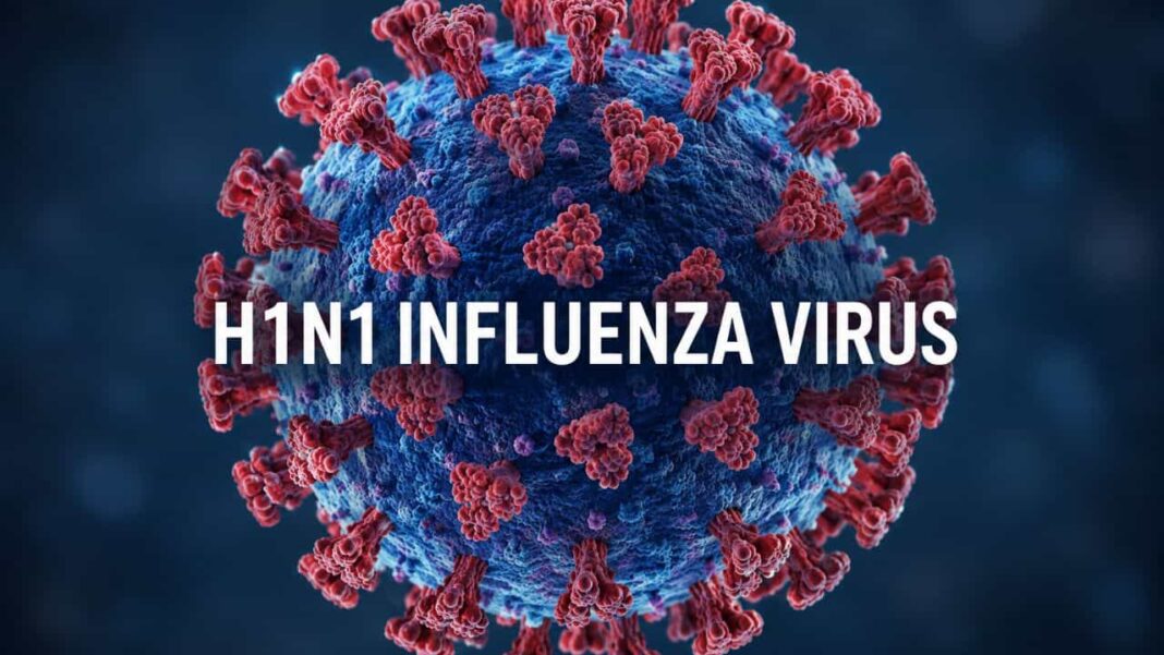 COVID-19 and Swine Flu Advisory Issued in Rajnandgaon