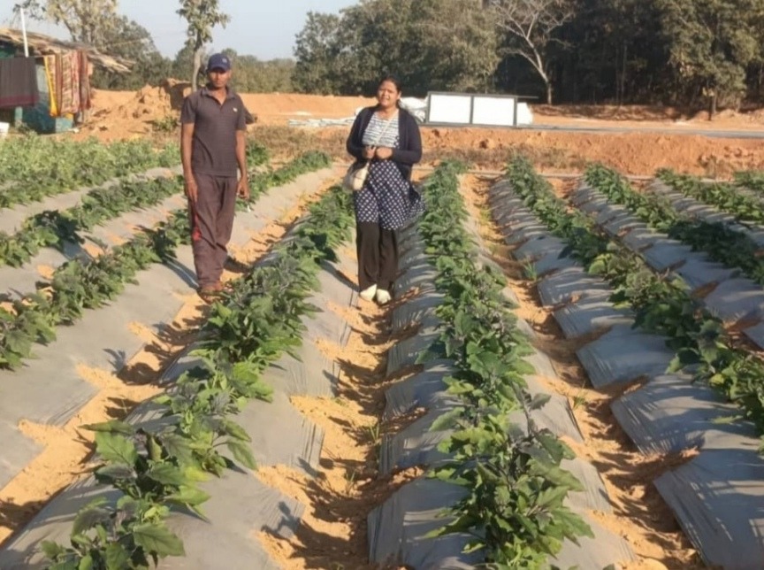 Barren Land Turns Productive as Raigarh Farmer Earns ₹4.25 Lakh from Grafted Crops